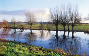 The Levels & Moors - click for more information